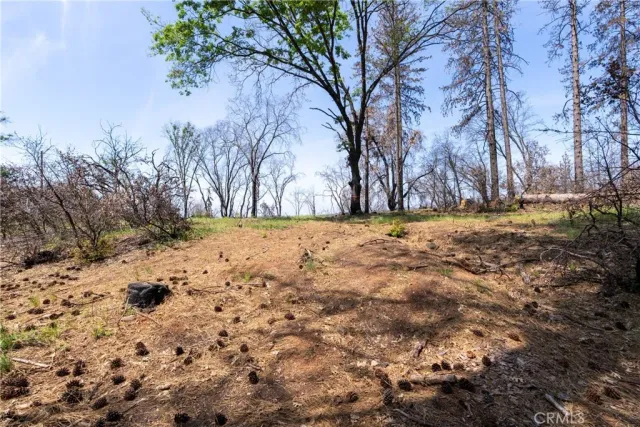 a view of a yard covered in snow