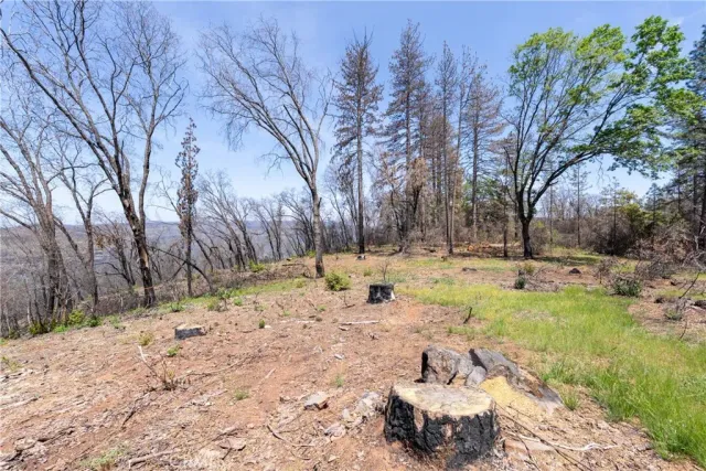 a backyard of a house with large trees