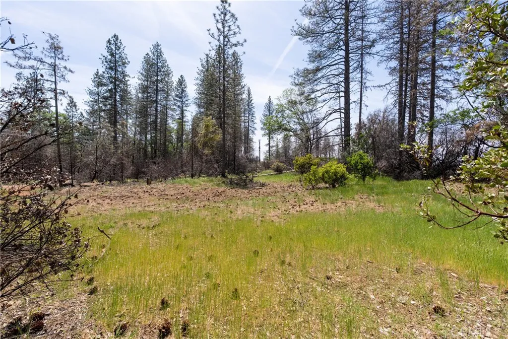 0 Toll Gate Way Magalia, CA 95954 - Photo 2 of 62 a view of swimming pool with trees in the background