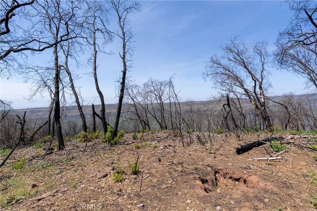 0 Toll Gate Way Magalia, CA 95954 - Photo 21 of 62 a view of a yard covered with snow