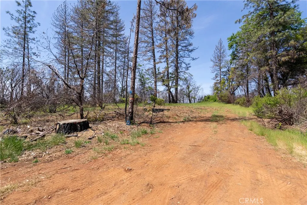 0 Toll Gate Way Magalia, CA 95954 - Photo 22 of 62 a view of a yard with a tree