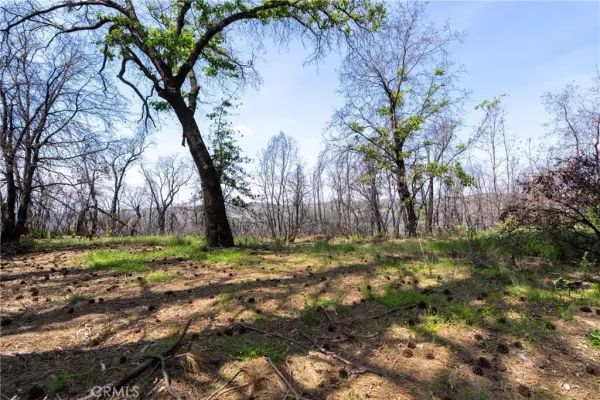 $250,000 | 0 Toll Gate Way, Magalia, CA 95954