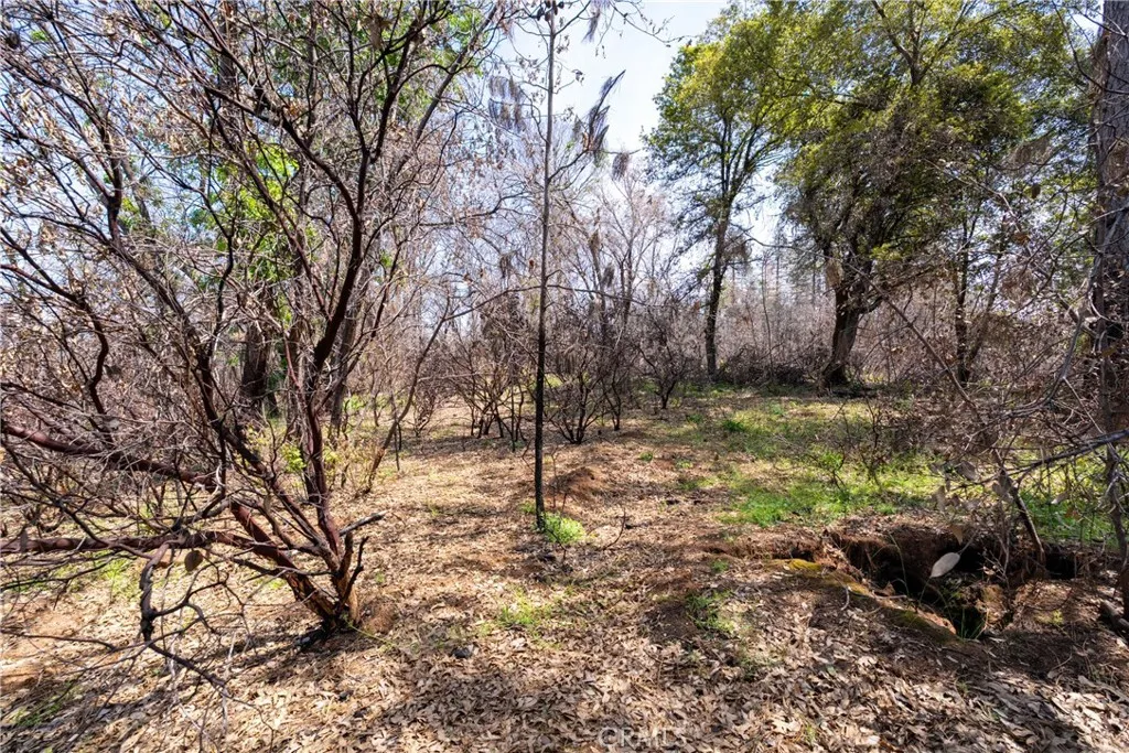 0 Toll Gate Way Magalia, CA 95954 - Photo 24 of 62 a backyard of a house with lots of green space