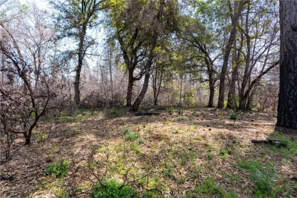 $250,000 | 0 Toll Gate Way, Magalia, CA 95954