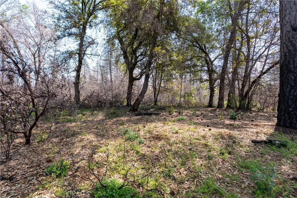 0 Toll Gate Way Magalia, CA 95954 - Photo 25 of 62 a view of backyard with large trees