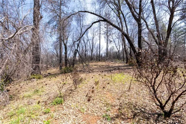 a view of a backyard of the house