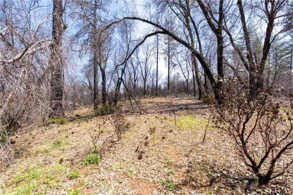 $250,000 | 0 Toll Gate Way, Magalia, CA 95954