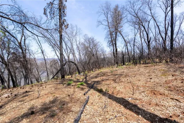 a view of a yard covered with snow
