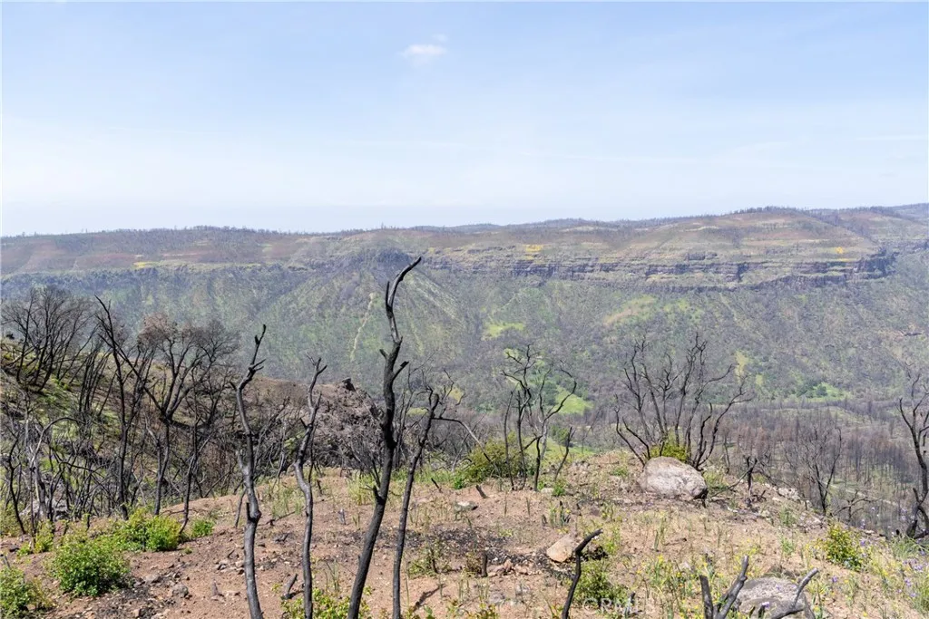 0 Toll Gate Way Magalia, CA 95954 - Photo 3 of 62 a view of a forest with trees in the background