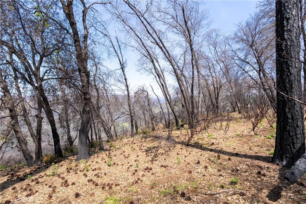 0 Toll Gate Way Magalia, CA 95954 - Photo 32 of 62 a view of snow covered with snow