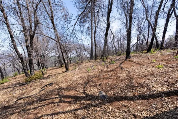 $250,000 | 0 Toll Gate Way, Magalia, CA 95954
