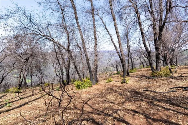 $250,000 | 0 Toll Gate Way, Magalia, CA 95954