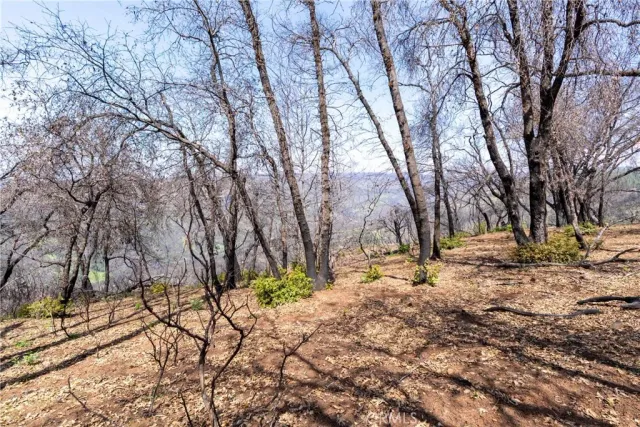 a view of a dry yard with lots of green space