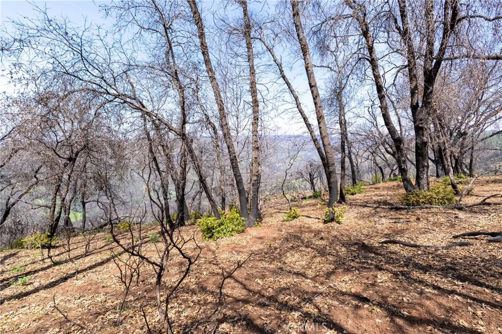 0 Toll Gate Way Magalia, CA 95954 - Photo 34 of 62