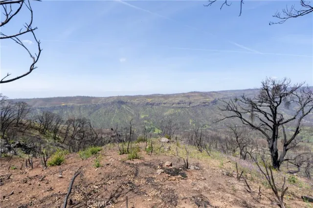 a view of a dry yard with wooden fence and mountain