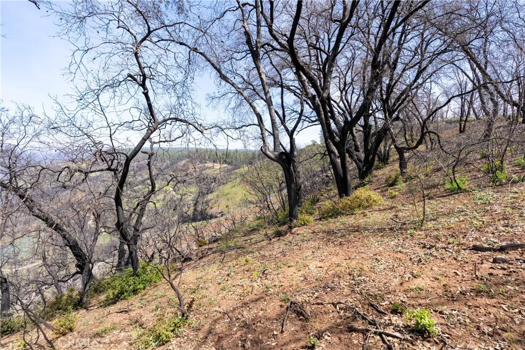 0 Toll Gate Way Magalia, CA 95954 - Photo 41 of 62 a backyard of a house with large trees