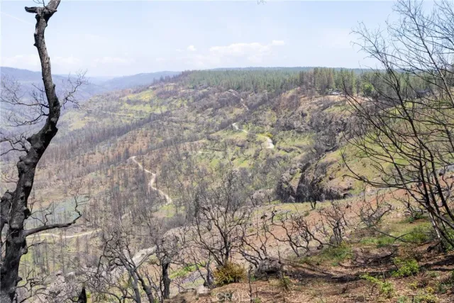 a fire hydrant in the middle of a field