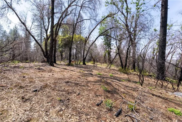a view of a backyard of the house