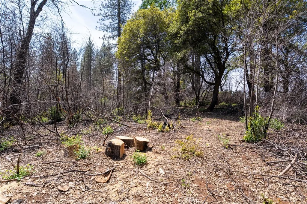 0 Toll Gate Way Magalia, CA 95954 - Photo 45 of 62 a view of a yard with trees