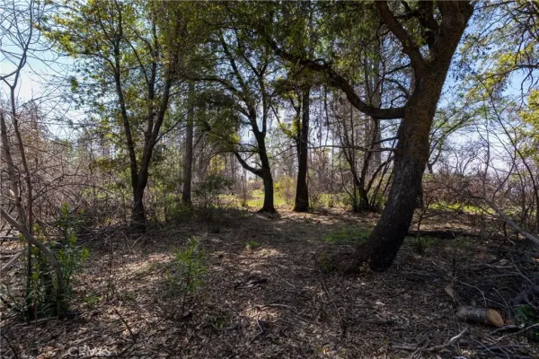 $250,000 | 0 Toll Gate Way, Magalia, CA 95954