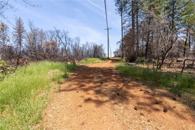 a view of a yard with a tree