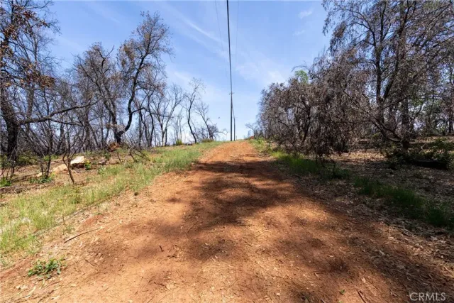 a view of a backyard of the house