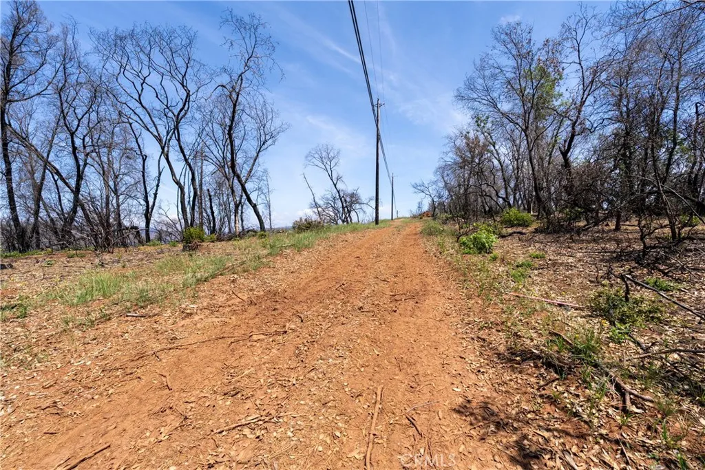 0 Toll Gate Way Magalia, CA 95954 - Photo 50 of 62 a view of a yard with large trees