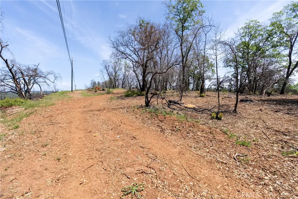 0 Toll Gate Way Magalia, CA 95954 - Photo 52 of 62 a view of empty space with large trees