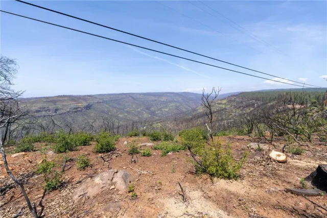 a view of yard covered with snow