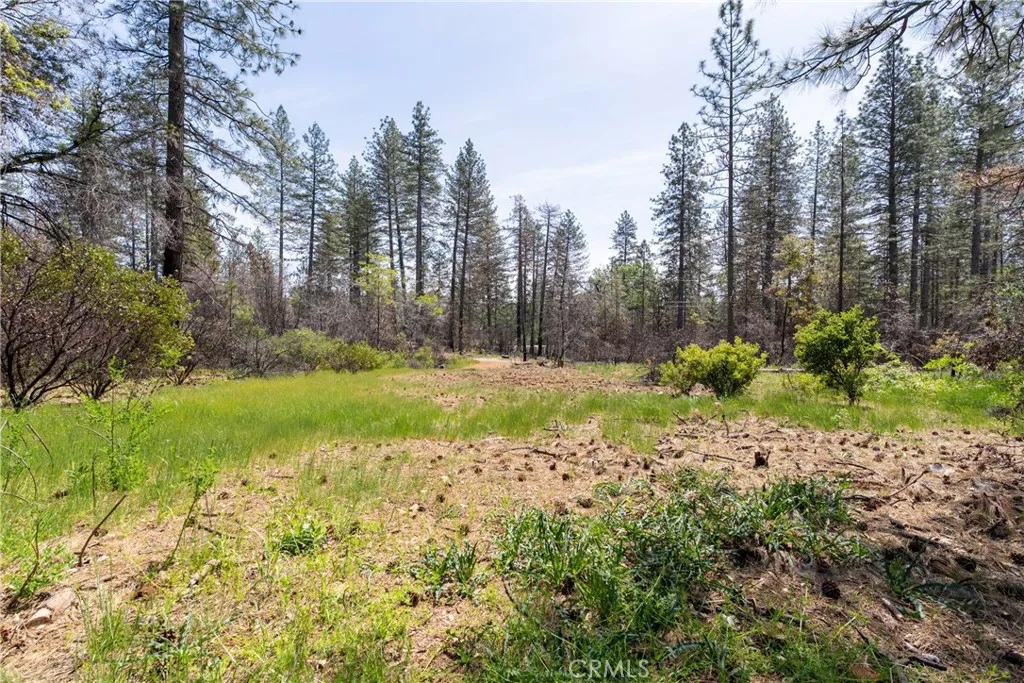 0 Toll Gate Way Magalia, CA 95954 - Photo 8 of 62 a view of backyard with green space