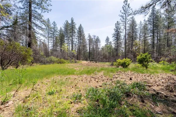 $250,000 | 0 Toll Gate Way, Magalia, CA 95954