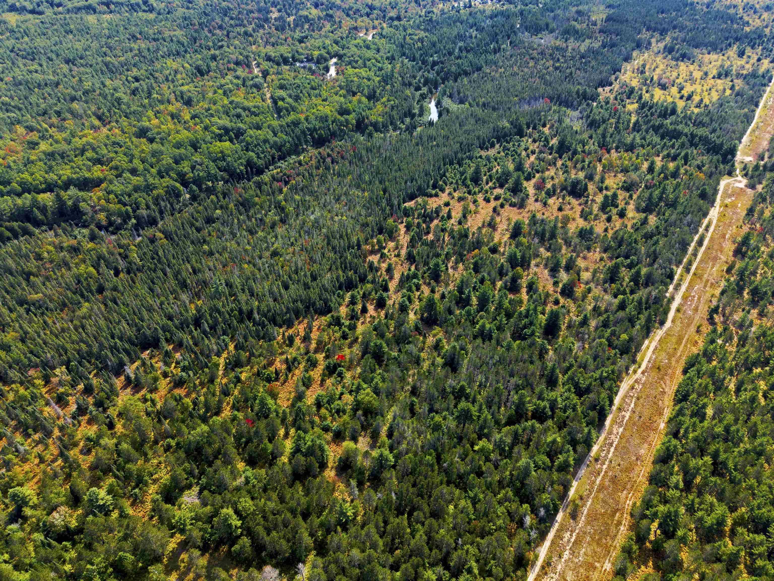 Cameron Bridge Road Frederic, MI 49733 - Photo 18 of 63