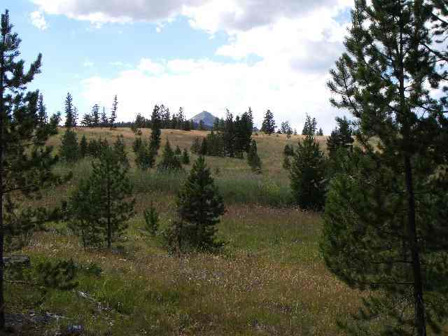 117 Antler Ridge Road Big Sky, MT 59716 - Photo 1 of 1 Gallery Image 1