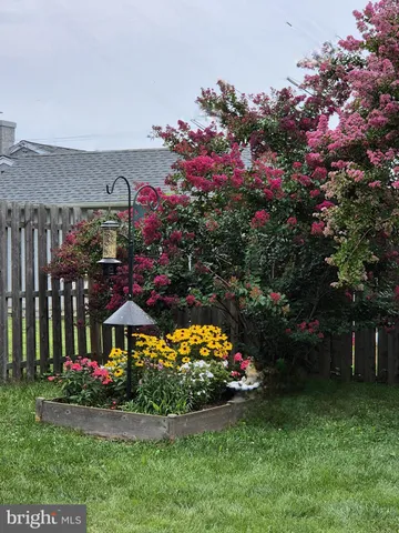 a view of a house with a big yard and potted plants