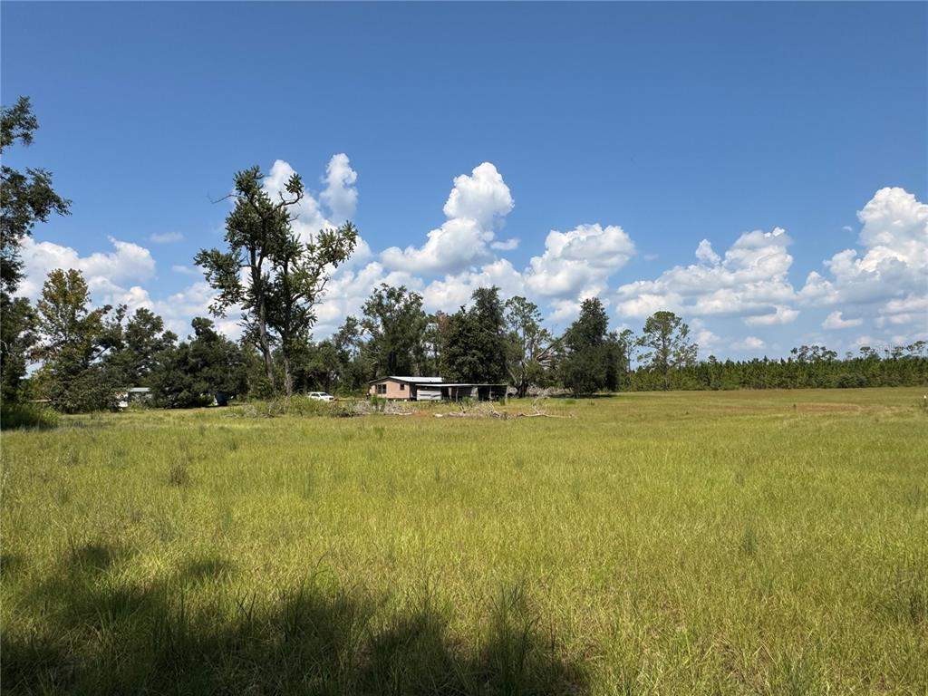 6001 185th Road Live Oak, FL 32060 - Photo 71 of 79