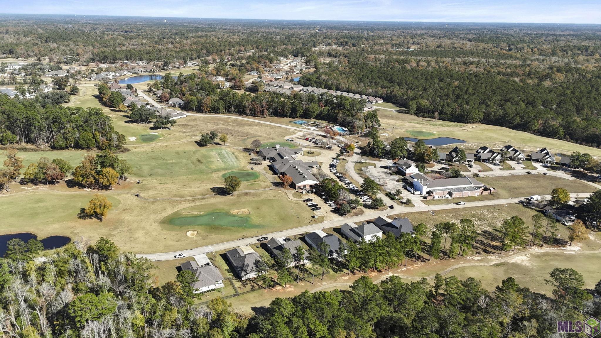 30620 Blue Wing Crescent Springfield, LA 70462 - Photo 30 of 39