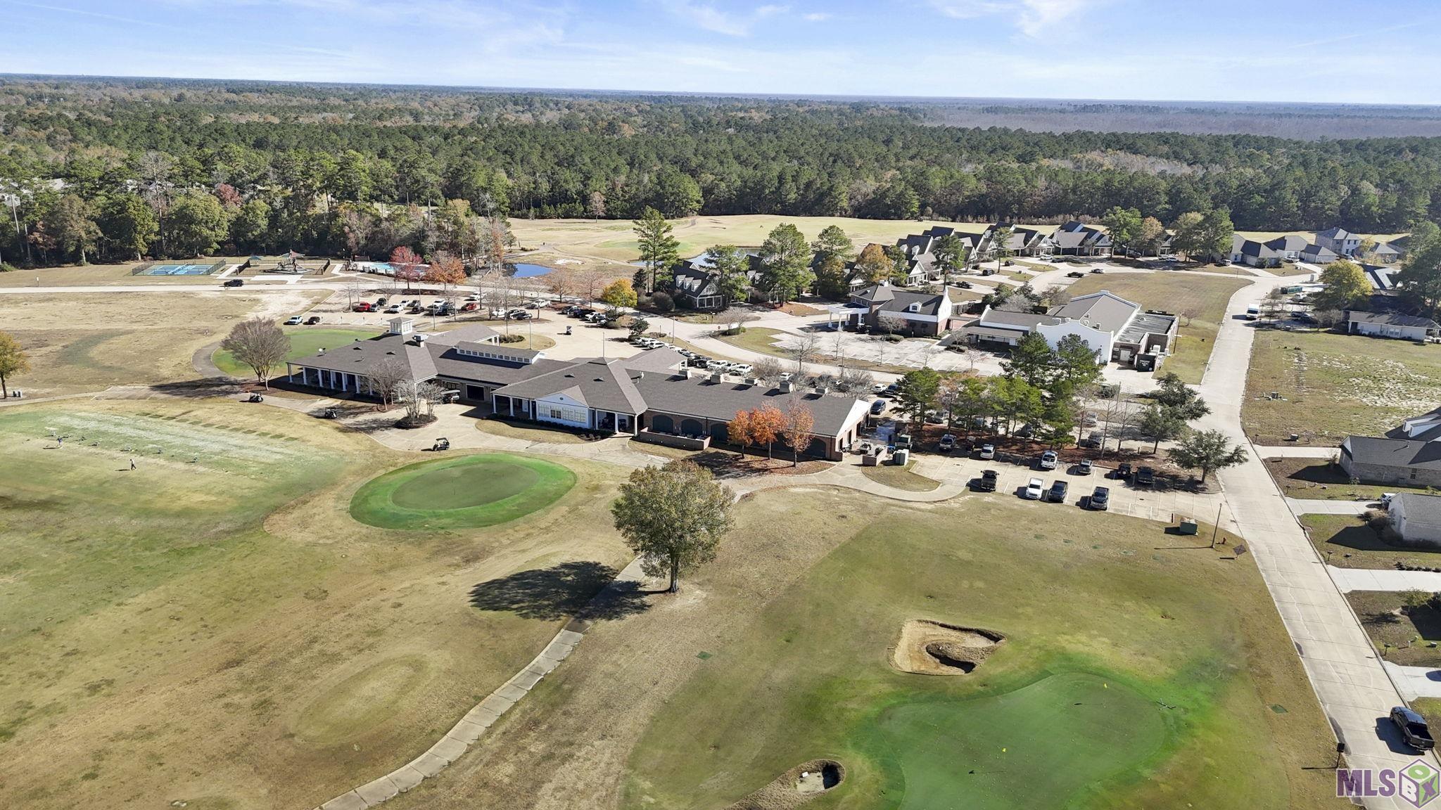 30620 Blue Wing Crescent Springfield, LA 70462 - Photo 32 of 39