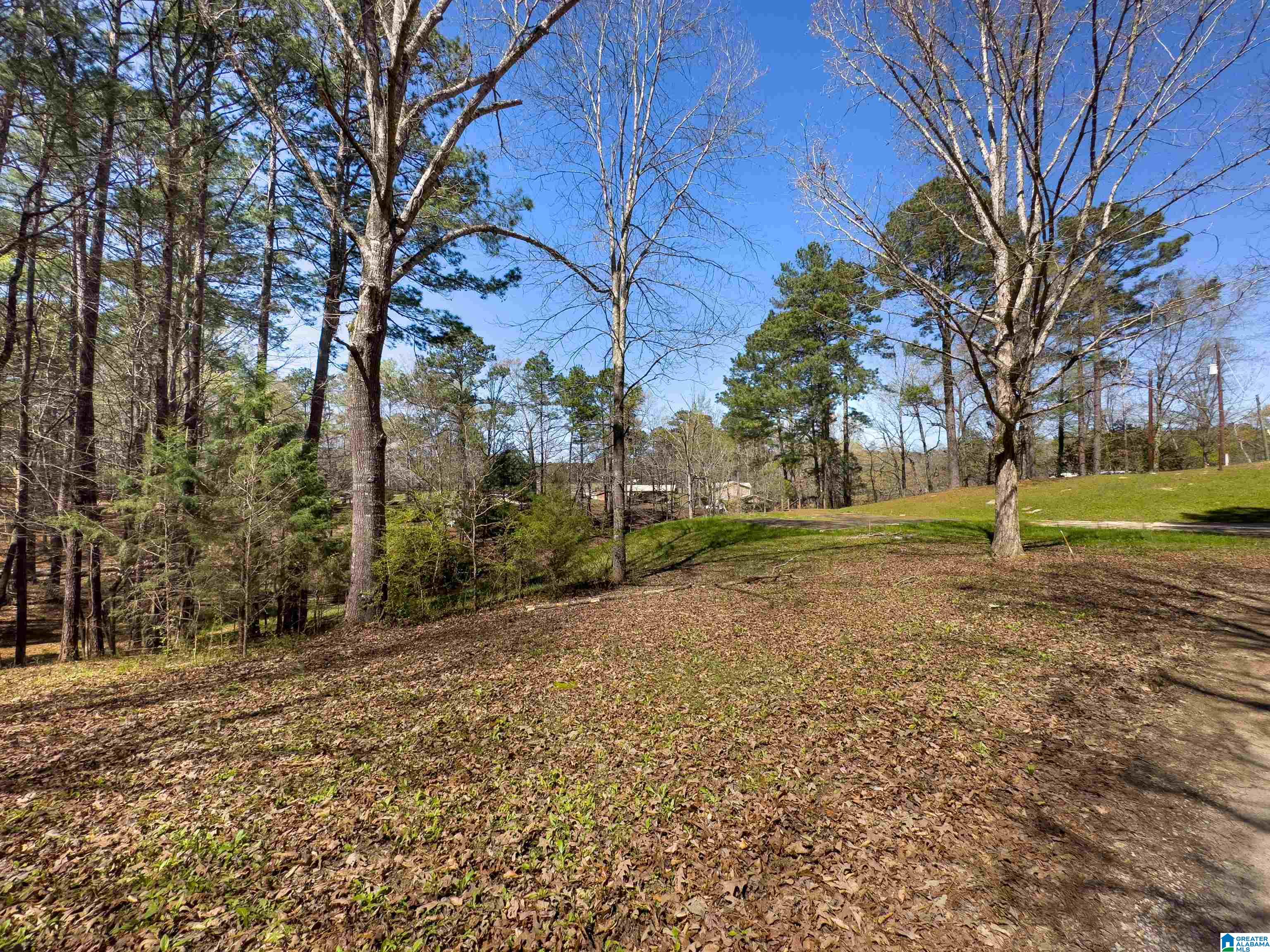 833 County Road, Unit 2 Jemison, AL 35085 - Photo 8 of 15