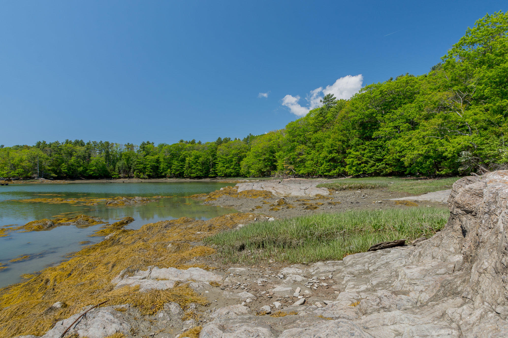 157 Princes Point Road Brunswick, ME 04011 - Photo 27 of 27 157PrincesPoint-305