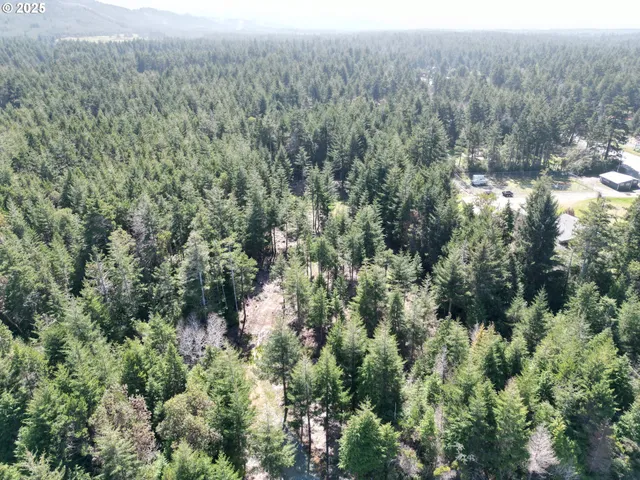 $235,000 | 47613 Oregon Coast Highway, Unit 1401, Bandon, OR 97411