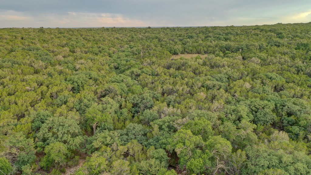 438 Yellowstone Lane Hunt, TX 78024 - Photo 43 of 47