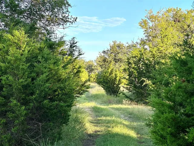$1,500,000 | 391 County Road 411, Goldthwaite, TX 76844