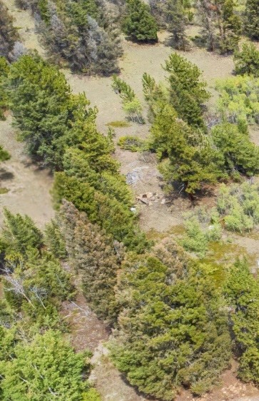 31663 Redhill Road Fairplay, CO 80440 - Photo 6 of 8