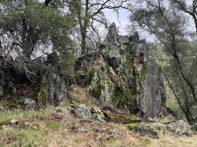 a view of a dry yard