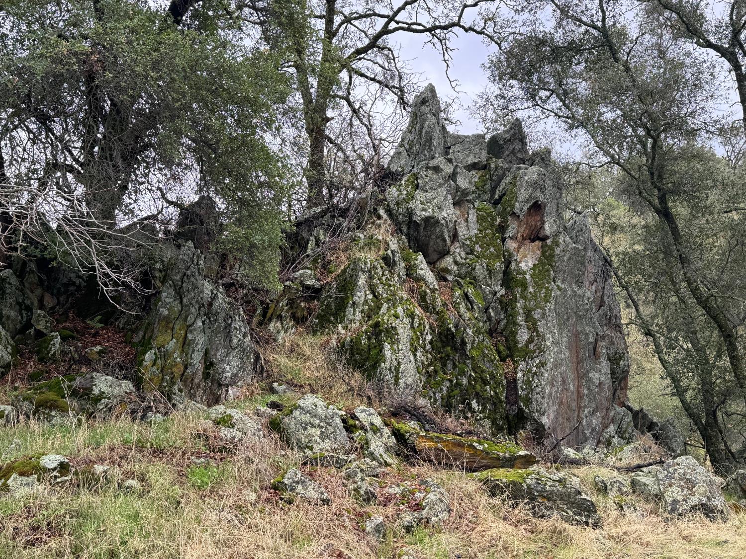 0 Vaira Ranch Road Drytown, CA 95699 - Photo 11 of 26 a view of a dry yard