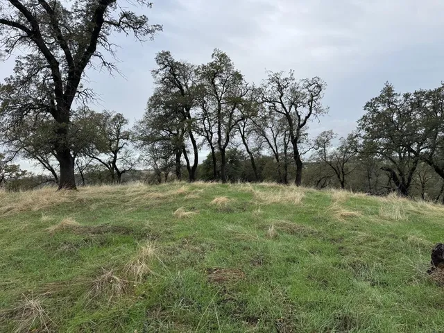 a view of outdoor space with trees all around