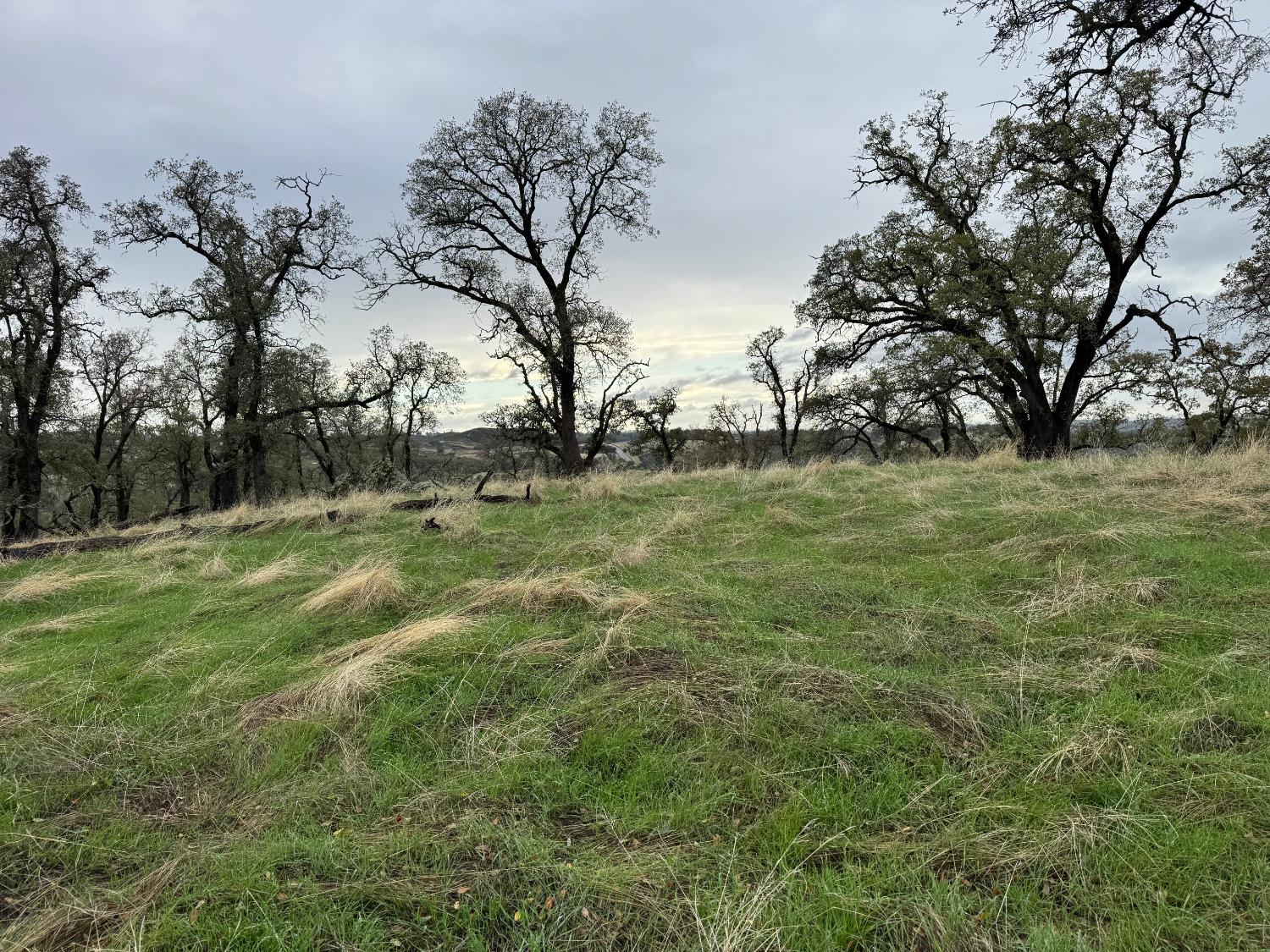 0 Vaira Ranch Road Drytown, CA 95699 - Photo 15 of 26 a backyard of a house with lots of green space