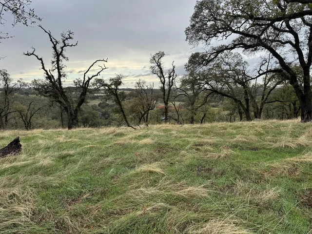 a view of swimming pool with a yard