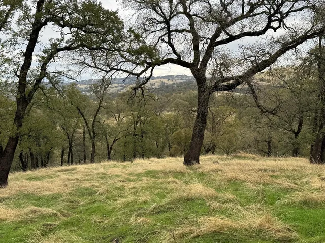 a view of large yard