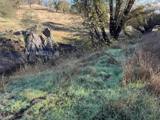 a view of backyard with green space